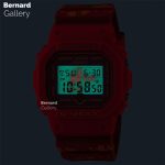 ساعت مچی کاسیو جی شاک Casio G-SHOCK DW-5600SBY-4DR - Image 4