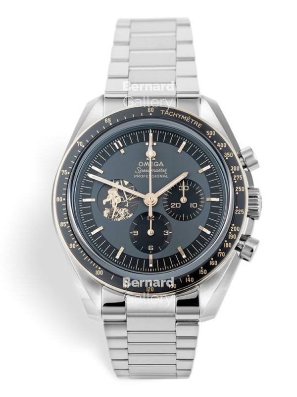 ساعت مچی مردانه امگا Omega Seamaster professional Watches
